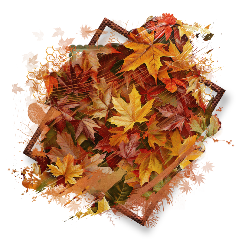 Fall Cluster Frame 800 x 800 - Copyright Designs by Forte