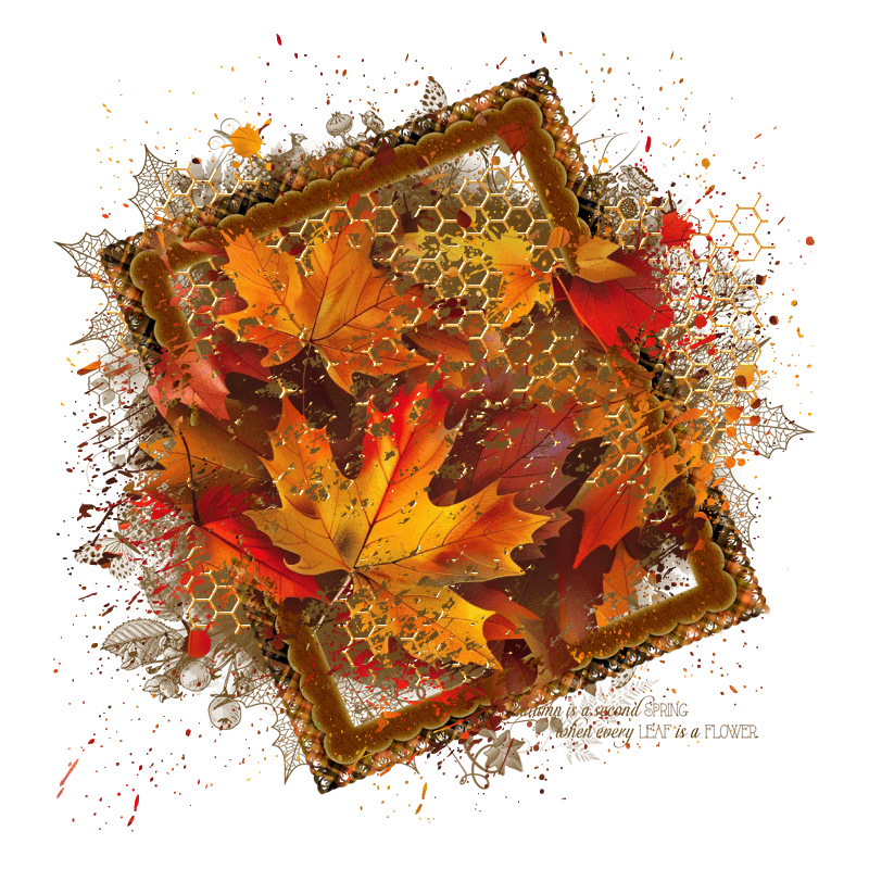 Fall Cluster Frame 800 x 800 - Copyright Designs by Forte