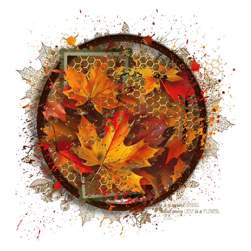 Fall Cluster Frame 800 x 800 - Copyright Designs by Forte