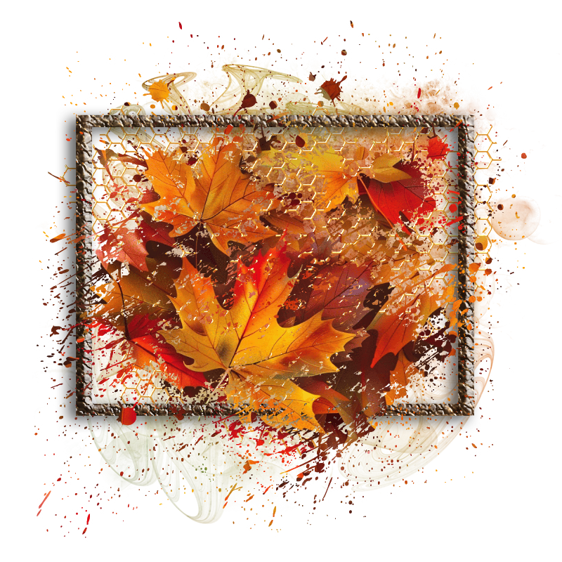 Fall Cluster Frame 800 x 800 - Copyright Designs by Forte